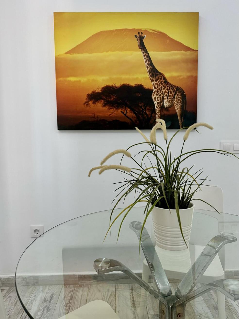 San Eugenio Charming Renovated Apartment Tenerife Costa Adeje  Exterior foto